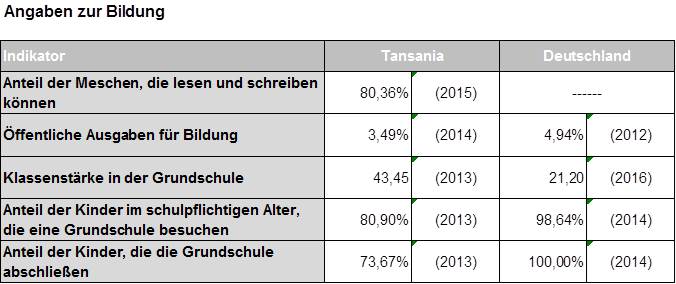 Bildung3.jpg